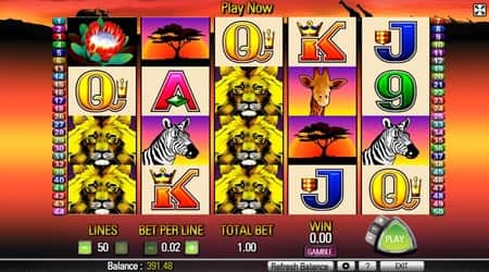 Play 50 Lions Slot Machine Online for Free & Real Money