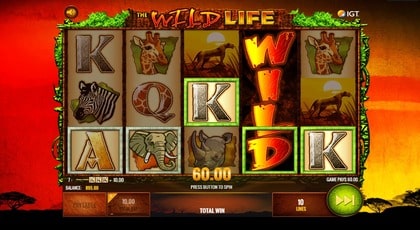 Wild Life Slot ScreenShot 3